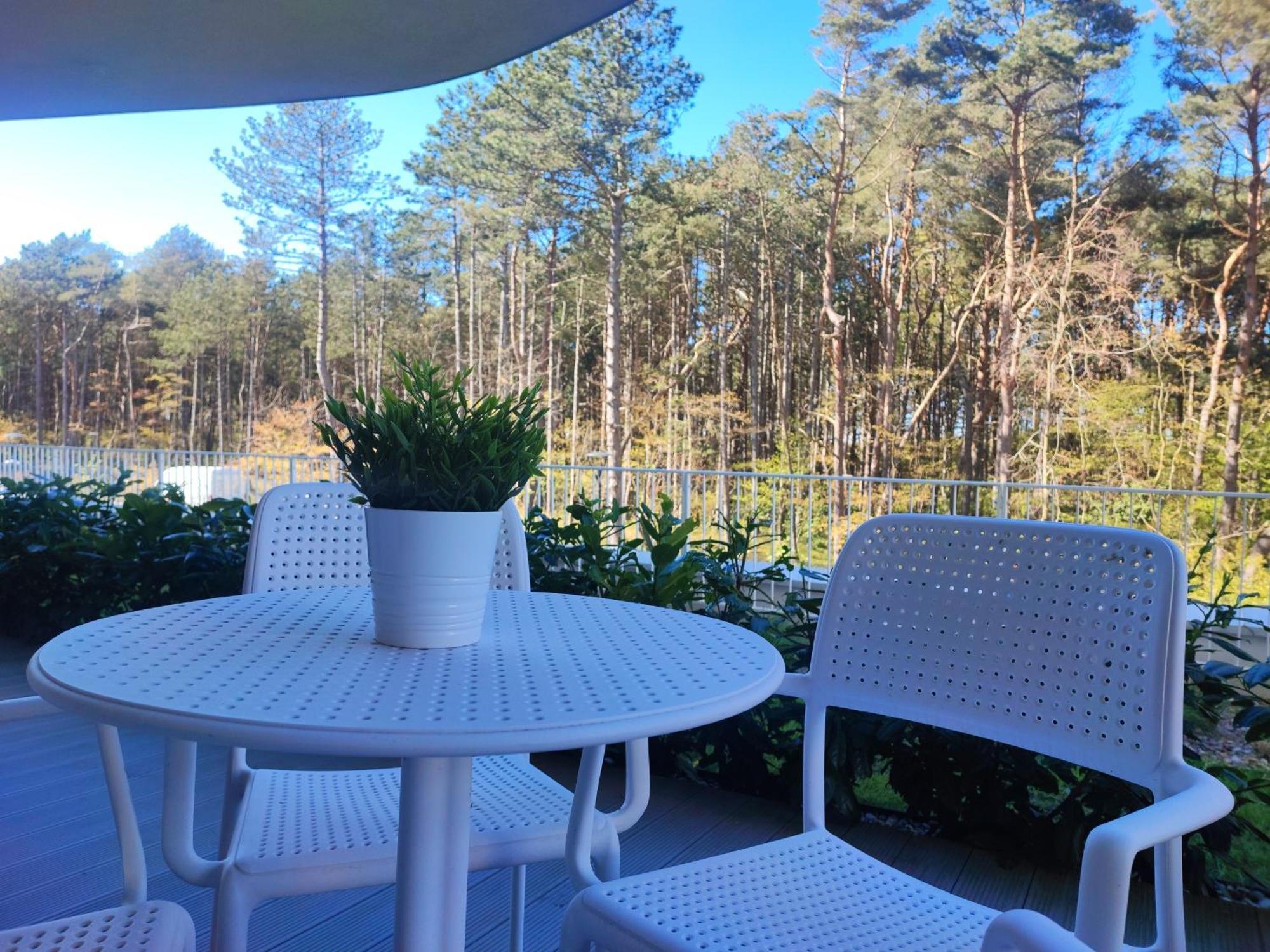 Apartment Sandland - Rogowo Pearl