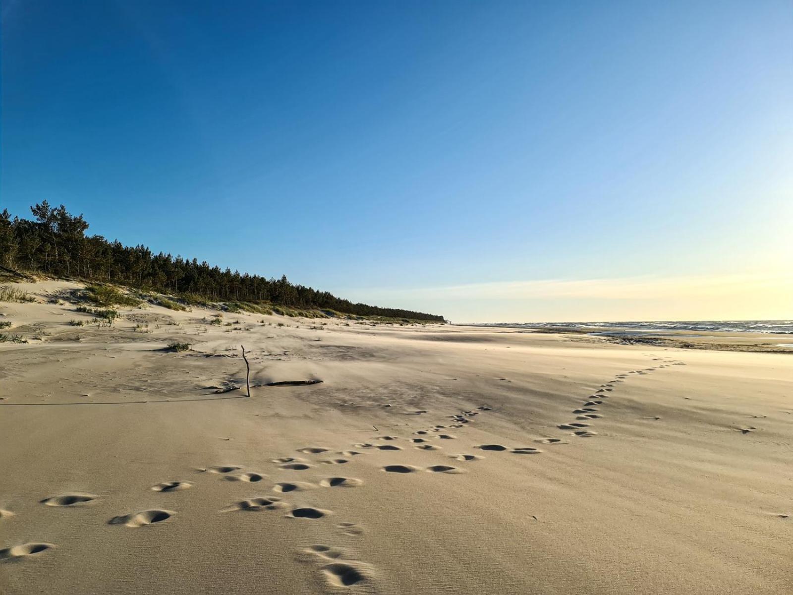 Sandland - Rogowo Pearl Rogowo (Gryfice)
